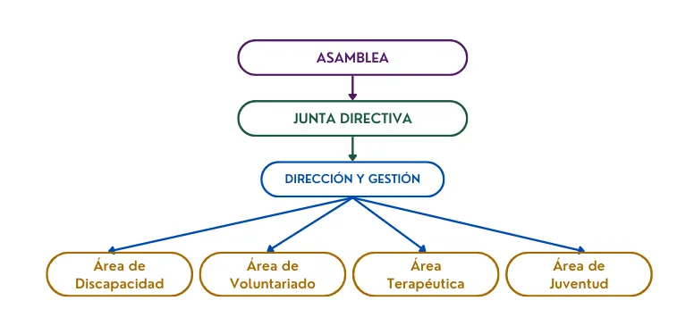 Organigrama de la Asociación Solidaria Infinity mostrando Asamblea, Junta Directiva y Áreas Especializadas